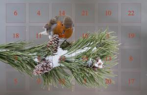 Adventskalender 2023