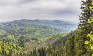Aussicht über bewaldetes Tal