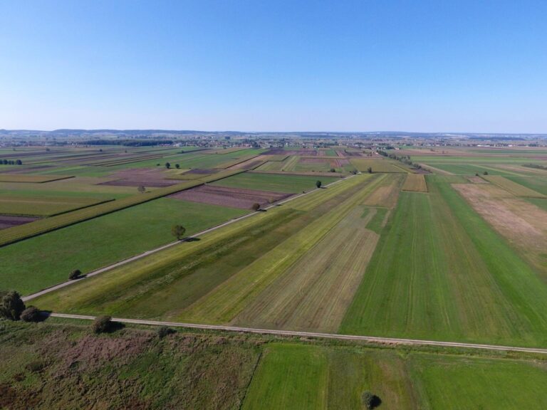 Luftbild vom Donaumoos