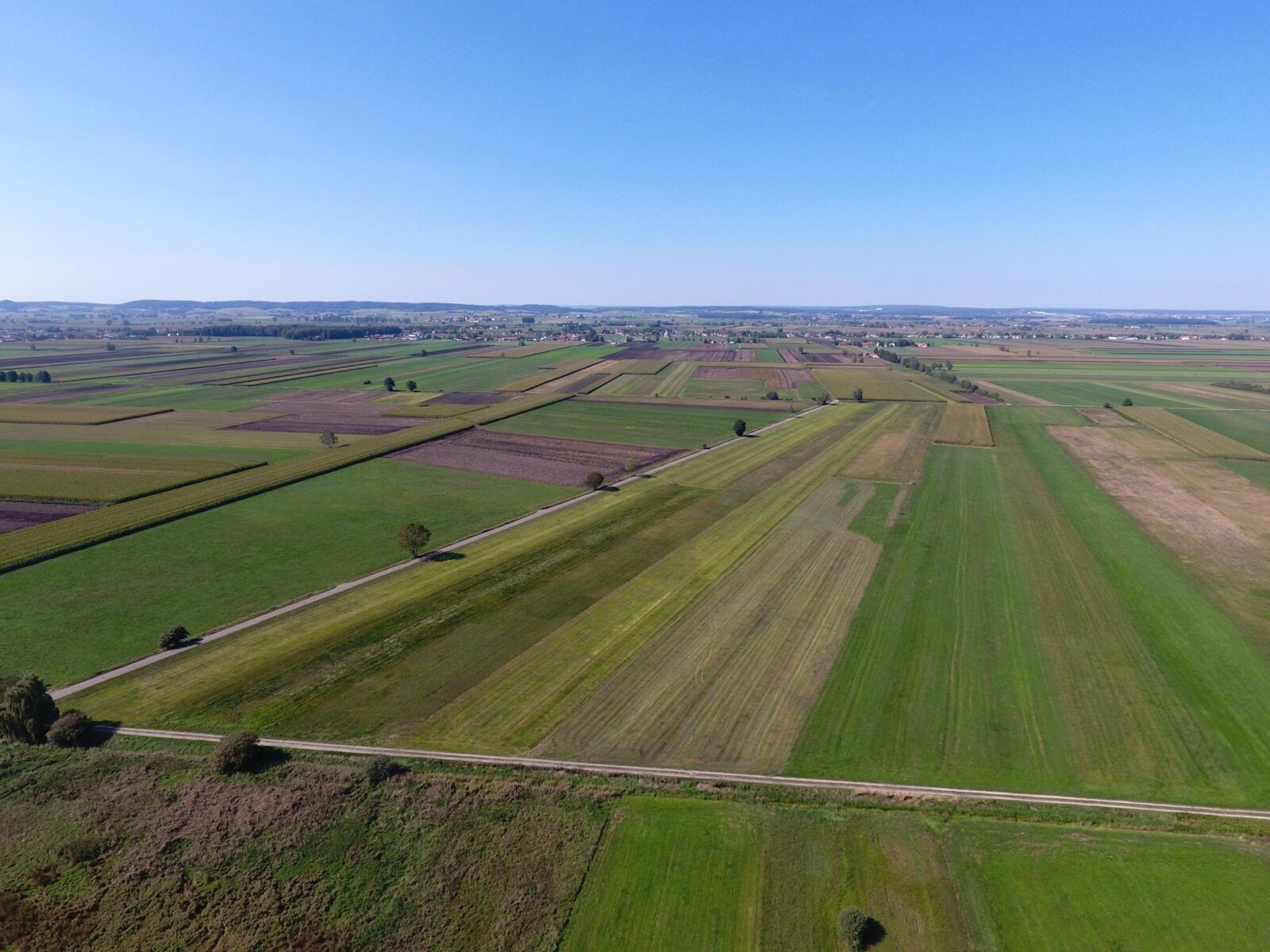 Luftbild vom Donaumoos